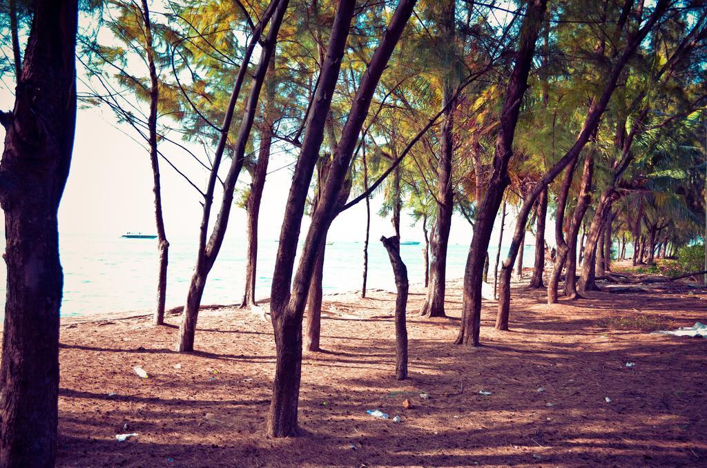 Beach Palace Hulhumale Esterno foto